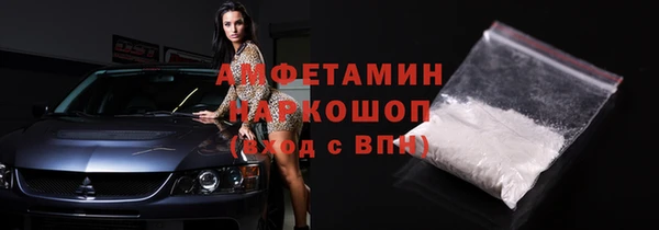 сатива Горняк