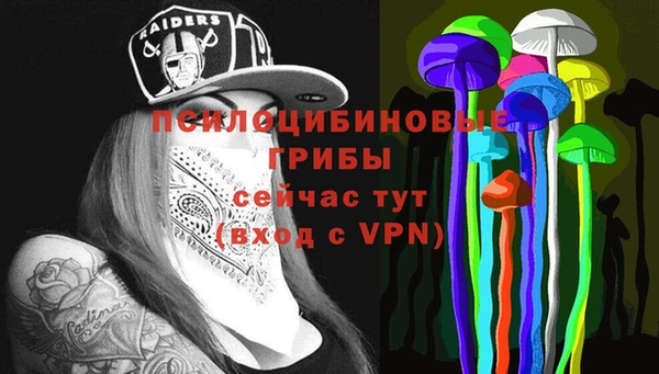 ГАЛЛЮЦИНОГЕННЫЕ ГРИБЫ Балабаново