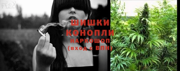 ГАЛЛЮЦИНОГЕННЫЕ ГРИБЫ Балабаново